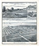 Bird's Eye View of Vermillion, Luther Avery Residence, J.S. King, A.W. Heath, Erie County 1874